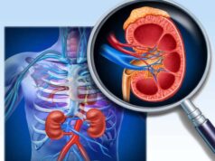 Kronik Böbrek Yetmezliği ve Diyaliz ile İlgili İpuçları